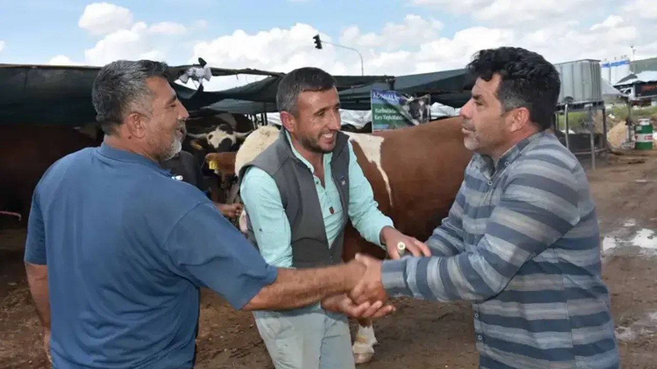 Kurban Pazarlarının Gözdesi Haso Ağa İzmir'de 480 Bin TL'ye Satıldı