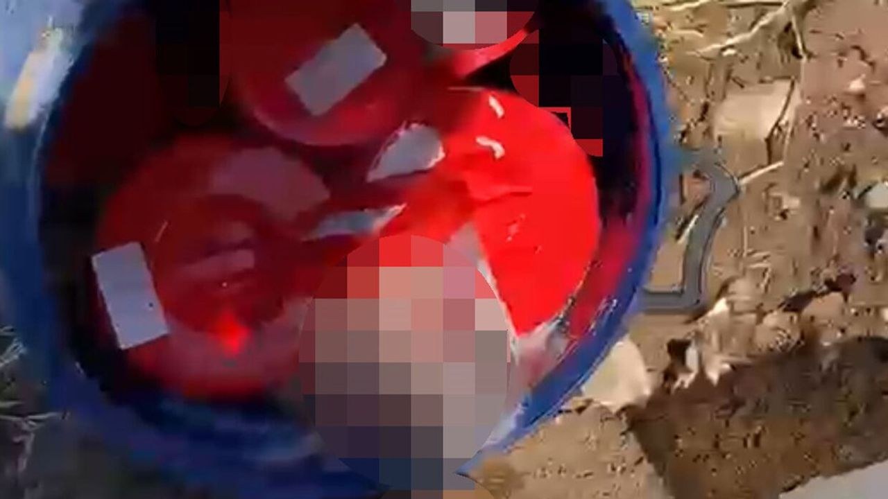 Şanlıurfa'da Mezarlıkta Dehşet: 21 Cenin Bulundu, Soruşturma Başladı
